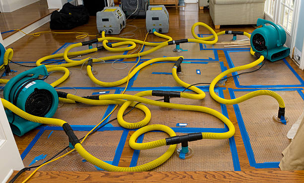 Professional Water Damage Repair technician working in Cushing, ME
